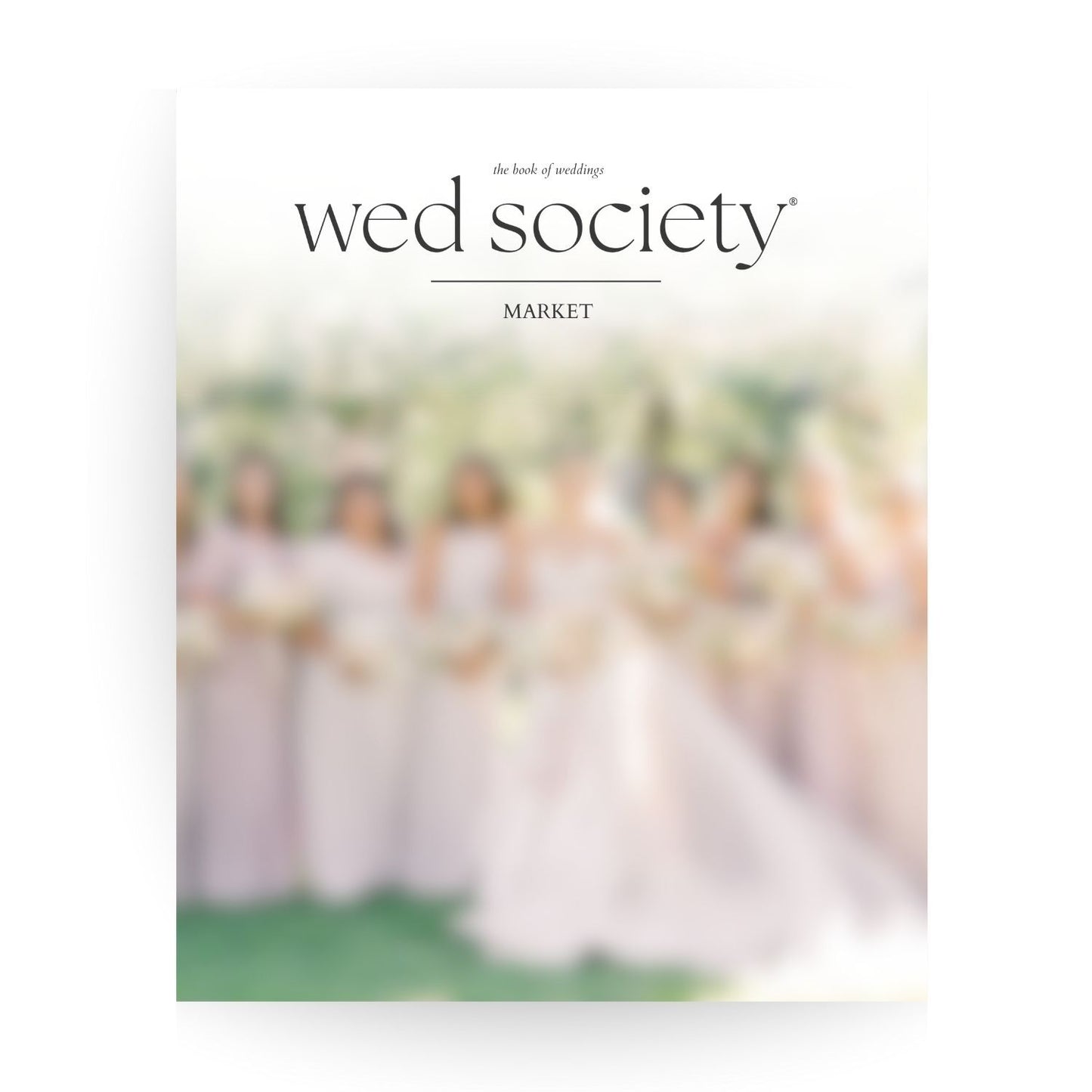 Assorted Individual Remnant Magazine